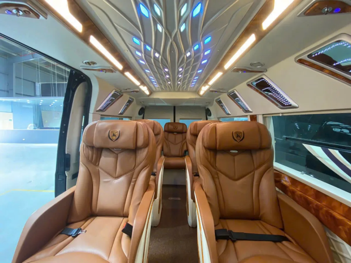 胡志明市Limousine 9人座包車旅遊服務（8小時）