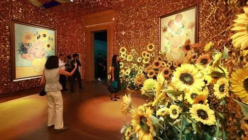 梵谷沉浸式光影藝術展(Van Gogh Art Lighting Experience)