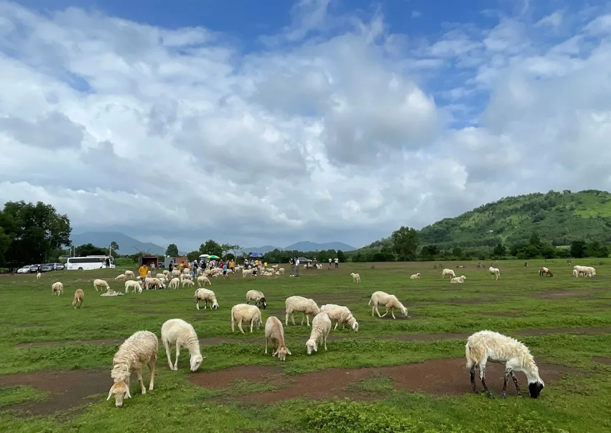 艺溪羊村山丘 (Doi Cuu Suoi Nghe)