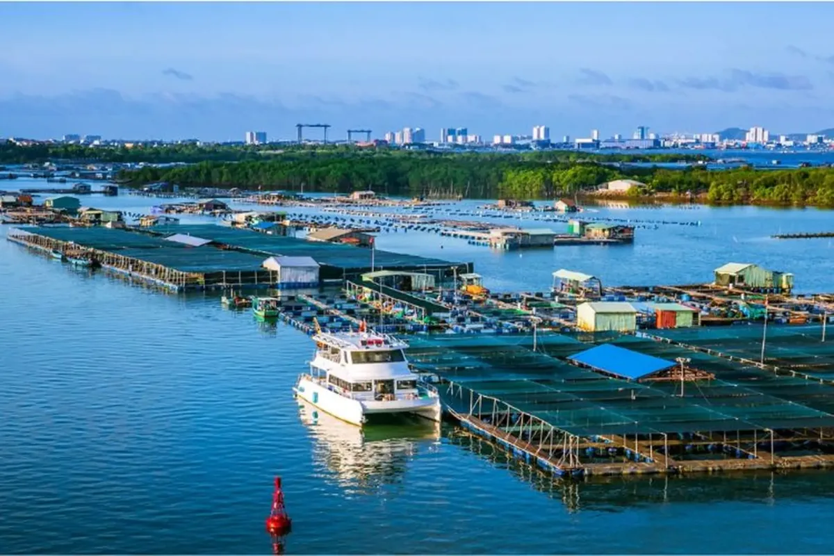 龙山水上海鲜浮排村 (Lang be Long Son)